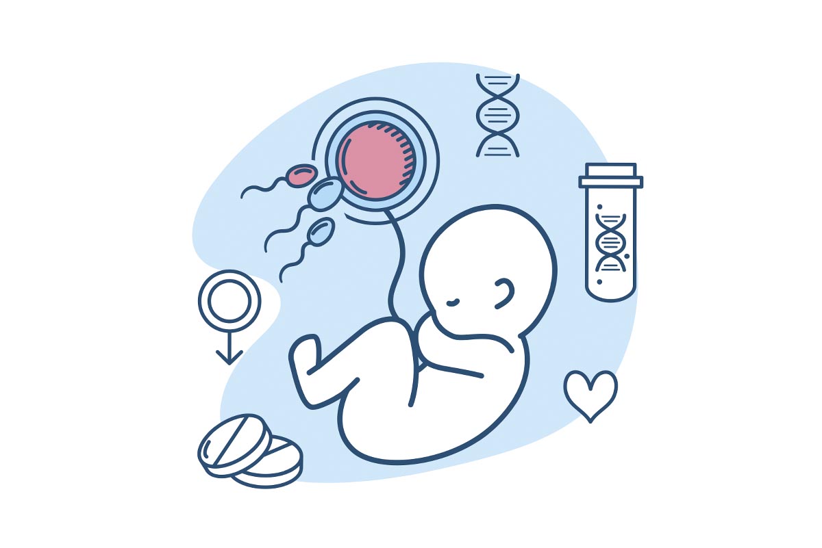 Inmunología y fertilidad