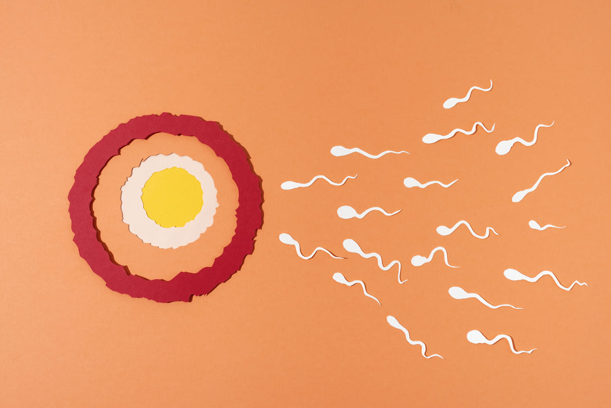 Microbiota e infertilidad masculina