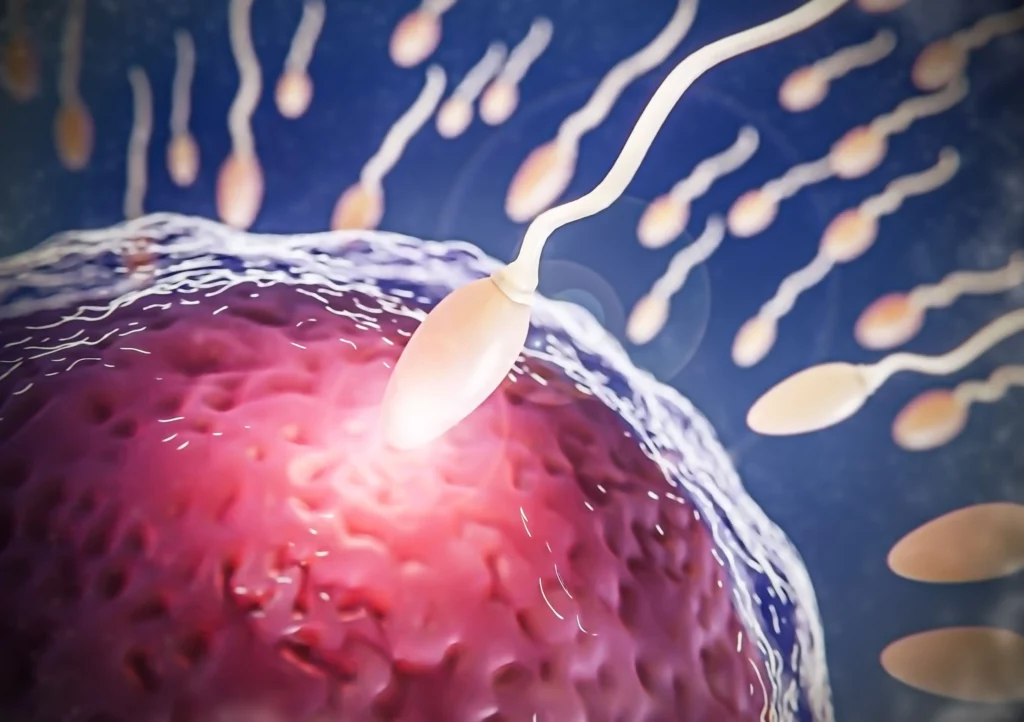 fallo-de-implantacion-clinica-fertilidad-malaga