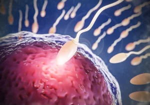 fallo-de-implantacion-clinica-fertilidad-malaga