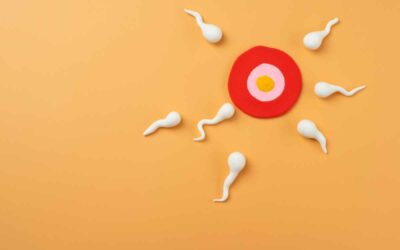 Sperm DNA Fragmentation: Impact on Male Fertility and Reduction Strategies