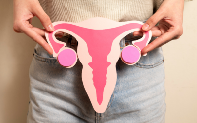 Endometrio sottile refrattario a terapia ormonale: chiavi per il successo nella riproduzione assistita