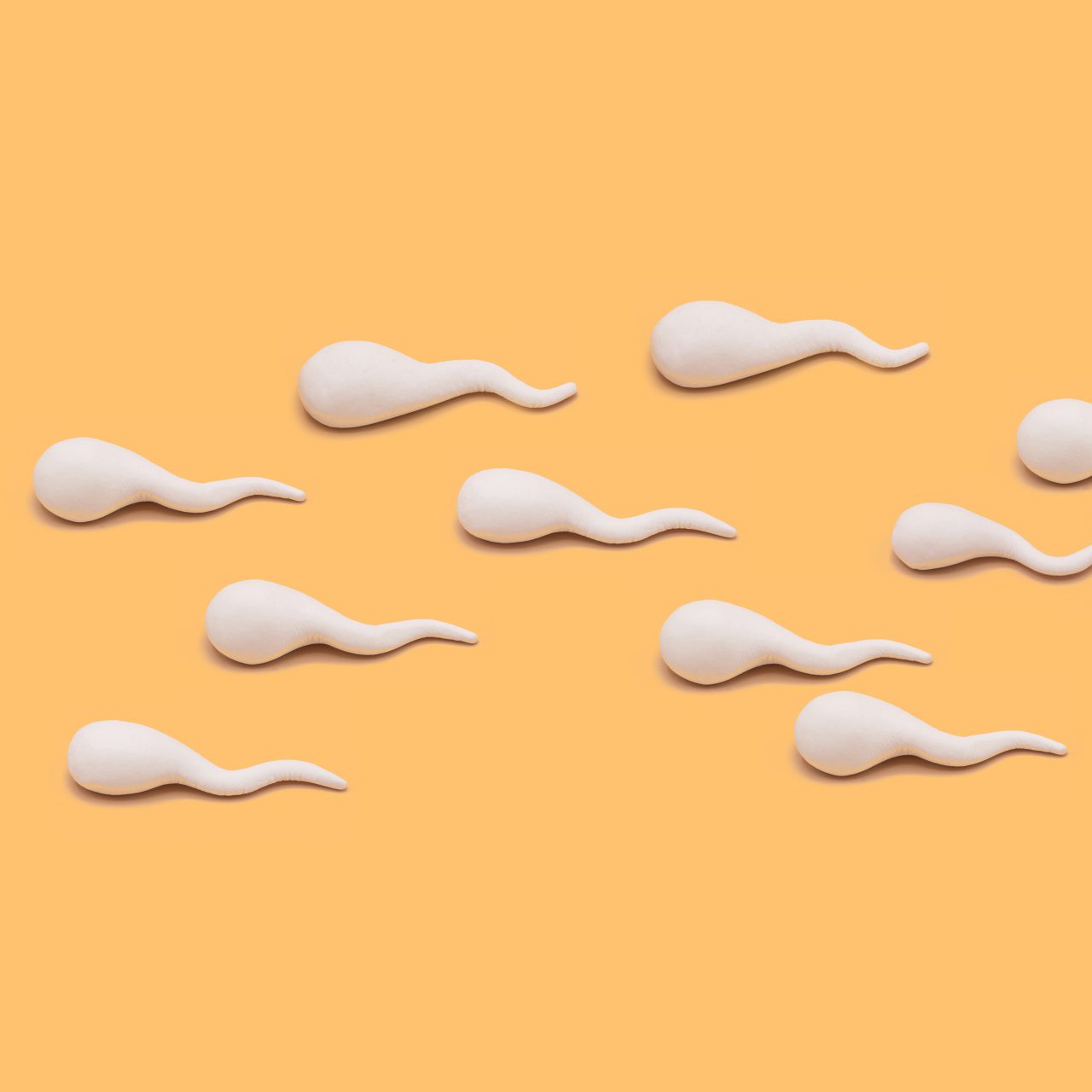 Spermogramme Clínica Fertia